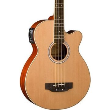 Washburn AB5K-A Acoustic Bass Guitar. Natural