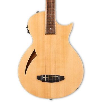 ESP LTD TL-4 Acoustic Electric Bass. Natural